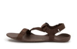 ZKM-BRN_Z-Trek_Brown_AngleRight-802-WEB