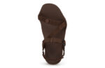 ZKM-BRN_Z-Trek_Brown_AngleRight-802-WEB