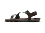 Xero – Z-Trail EV – Dark Forest Java Brown