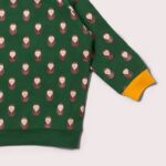 Brown Owl Raglan Sweatshirt bosi bg