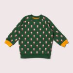 Brown Owl Raglan Sweatshirt bosi bg