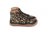 Sambas - Kalahari - Botin