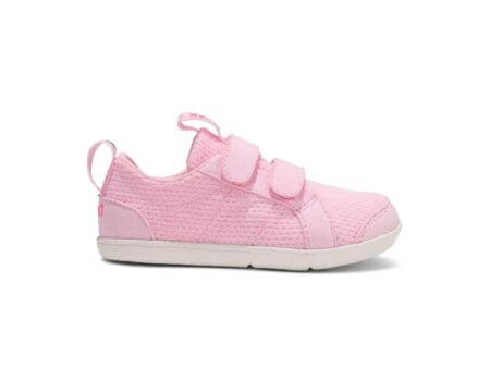 Xero - Dillon - Pink-a-Boo