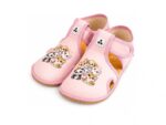 Antal - Rascal - Pet-club