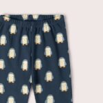 dylyg komplekt pingvincheta penguins bosi bg